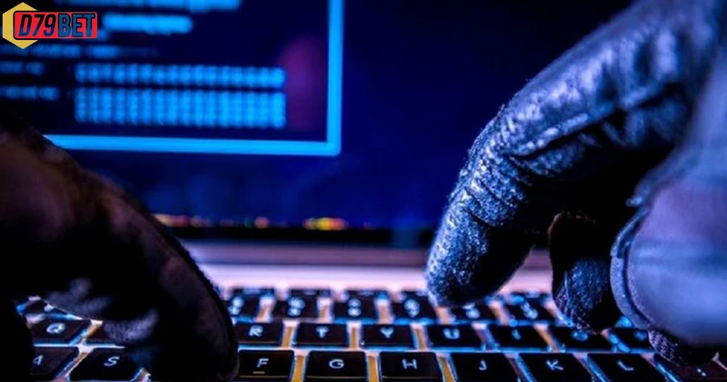 Giao diện website D79bet thân thiện dễ sử dụng cho người mới